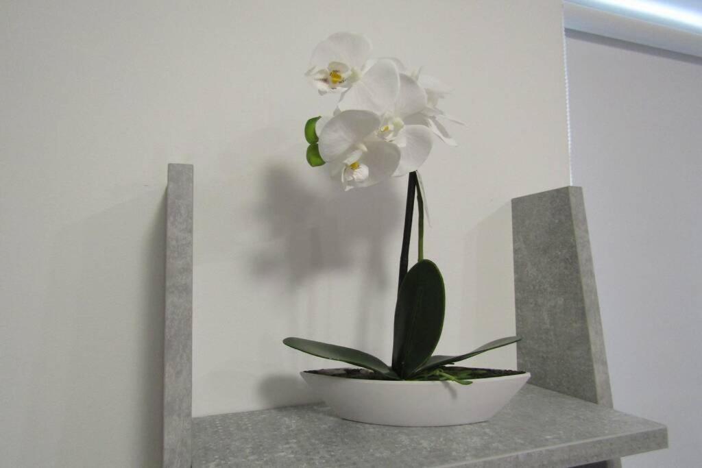 Apartman Megi & Studio Apartman Tomi - Self Check In Krapina Ngoại thất bức ảnh