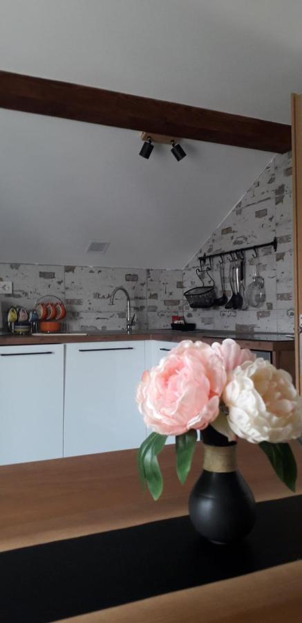 Apartman Megi & Studio Apartman Tomi - Self Check In Krapina Ngoại thất bức ảnh